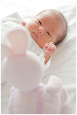 NutriciaProgram - 寶寶的成長：第 3 週