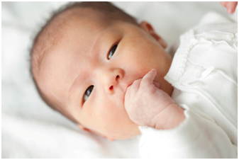 NutriciaProgram - 寶寶的成長：第 5 週