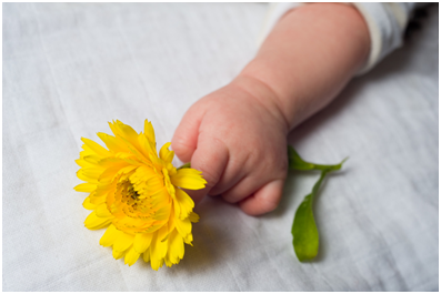 NutriciaProgram - 寶寶的成長：第 8 週