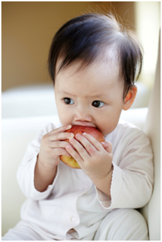 NutriciaProgram - 寶寶的成長：第20個月