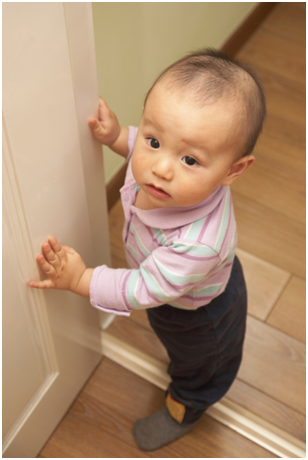 NutriciaProgram - 寶寶的成長：第10個月