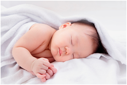 NutriciaProgram - 寶寶的成長：第 17 週