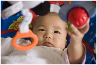 NutriciaProgram - 寶寶的成長：第 24 週