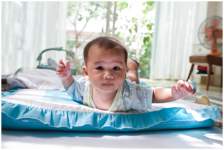 NutriciaProgram - 寶寶的成長：第 25 週